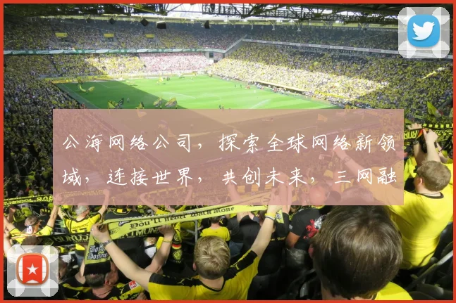 公海网络公司，探索全球网络新领域，连接世界，共创未来，三网融合，创新无限。