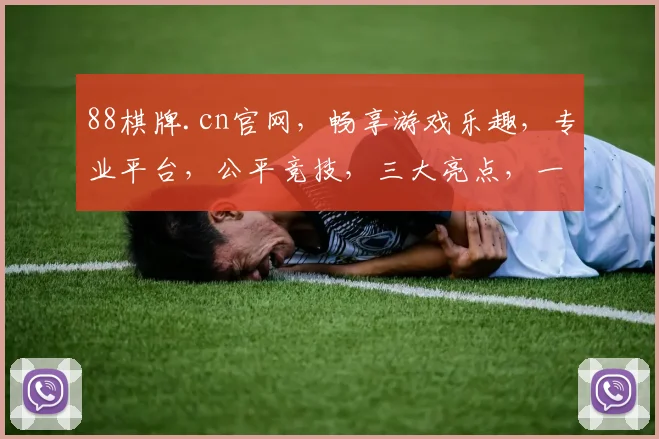 88棋牌.cn官网，畅享游戏乐趣，专业平台，公平竞技，三大亮点，一网打尽