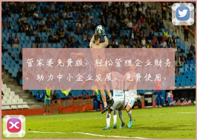 管家婆免费版，轻松管理企业财务，助力中小企业发展，免费使用，不容错过，性价比高