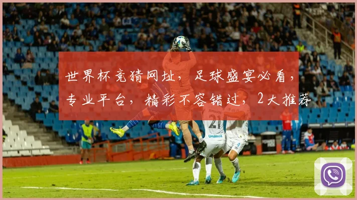 世界杯竞猜网址，足球盛宴必看，专业平台，精彩不容错过，2大推荐